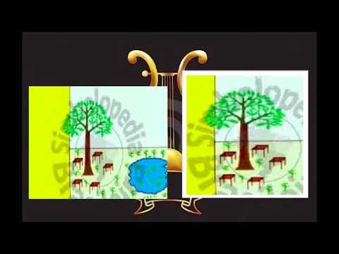 Brasão da Cidade Ipubi