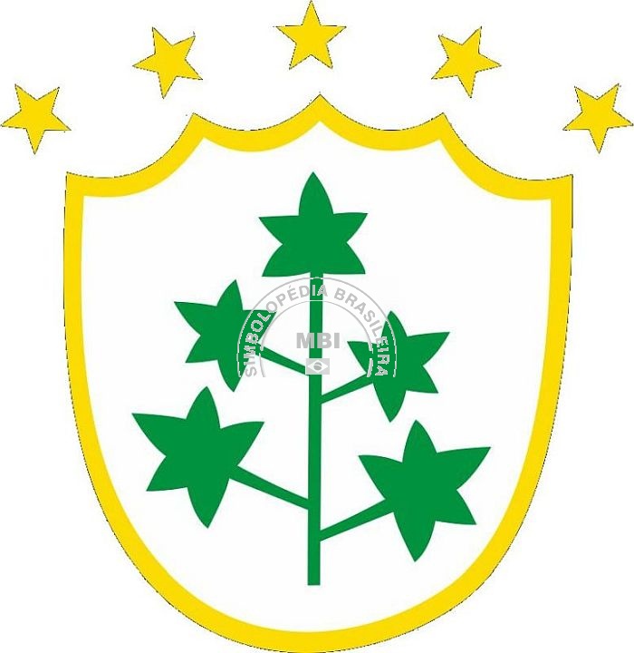 Brasão da Cidade de Feira Nova