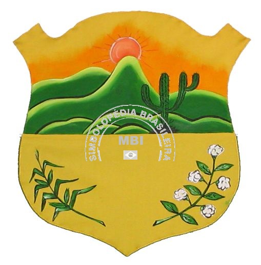 Brasão da Cidade de Iguaraci