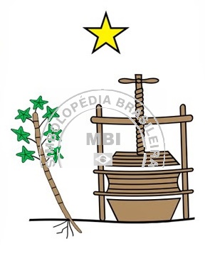 Brasão da Cidade Lagoa dos Gatos