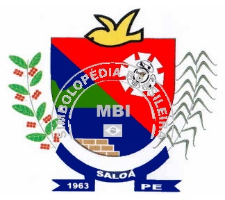 Brasão da Cidade Saloá