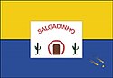 Bandeira de Salgadinho