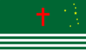 Bandeira da Cidade de Altinho