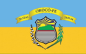 Bandeira da Cidade Orocó