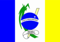 Bandeira de Xexeu
