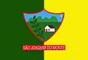 Bandeira da Cidade São Joaquim do Monte