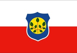Bandeira da Cidade de Cumaru
