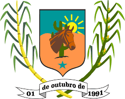 Bandeira da Cidade de Dormentes