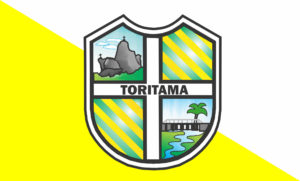 Bandeira da Cidade Toritama