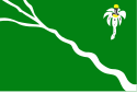 Bandeira de Belo Jardim 