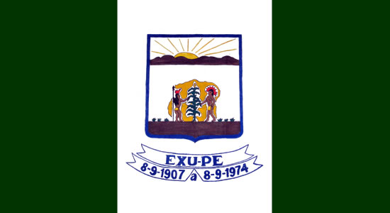 Bandeira da Cidade de Exu