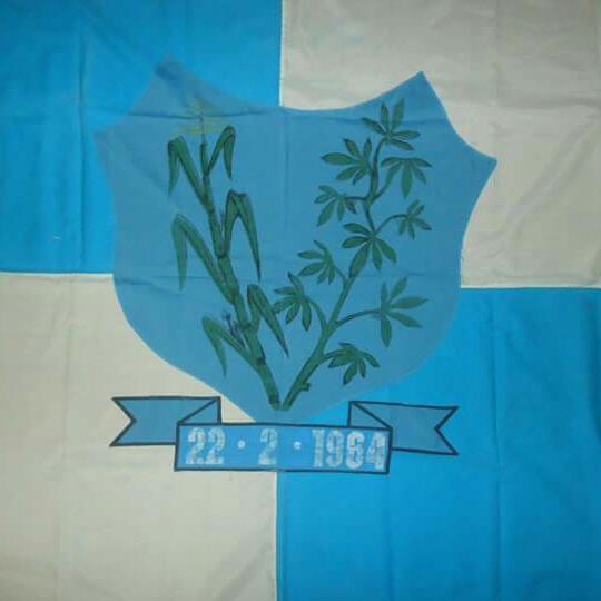 Bandeira da Cidade Paranatama