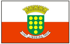 Bandeira da Cdade Limoeiro