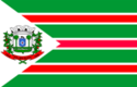 Bandeira da Cidade de Palmeirina