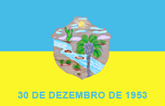 Bandeira da Cidade de Carnaíba