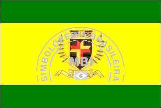 Bandeira da Cidade de capoeira