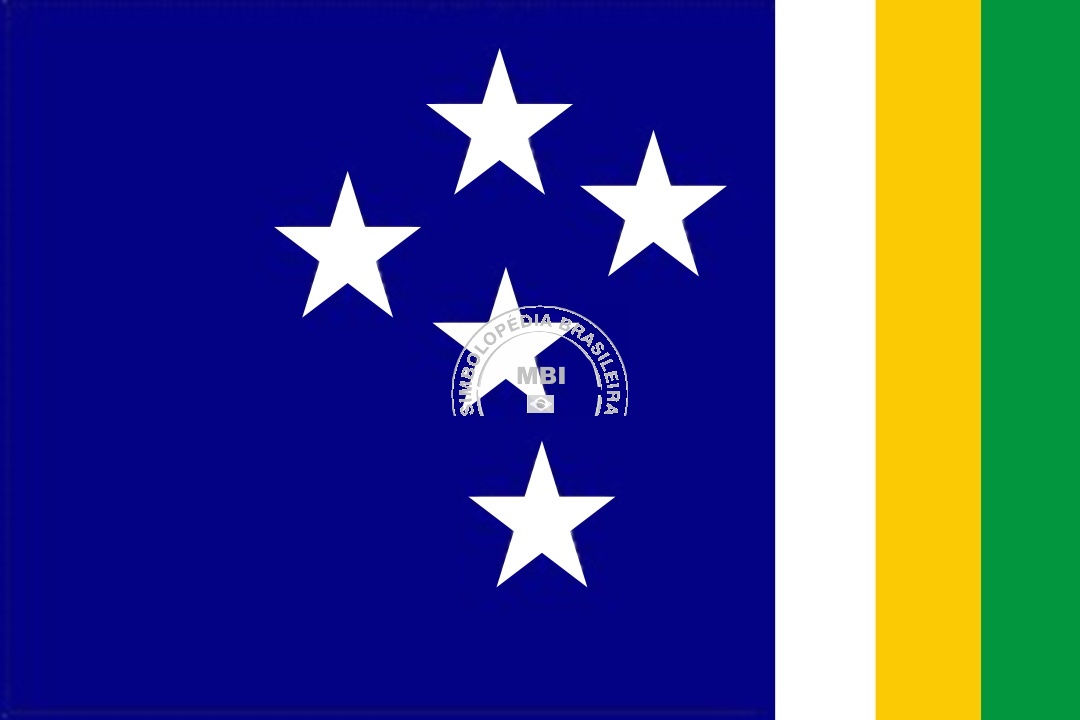 Bandeira da Cidade Flores