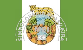 Bandeira da Cidade Frei de Miguelinho