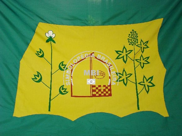 Bandeira da Cidade do Iati