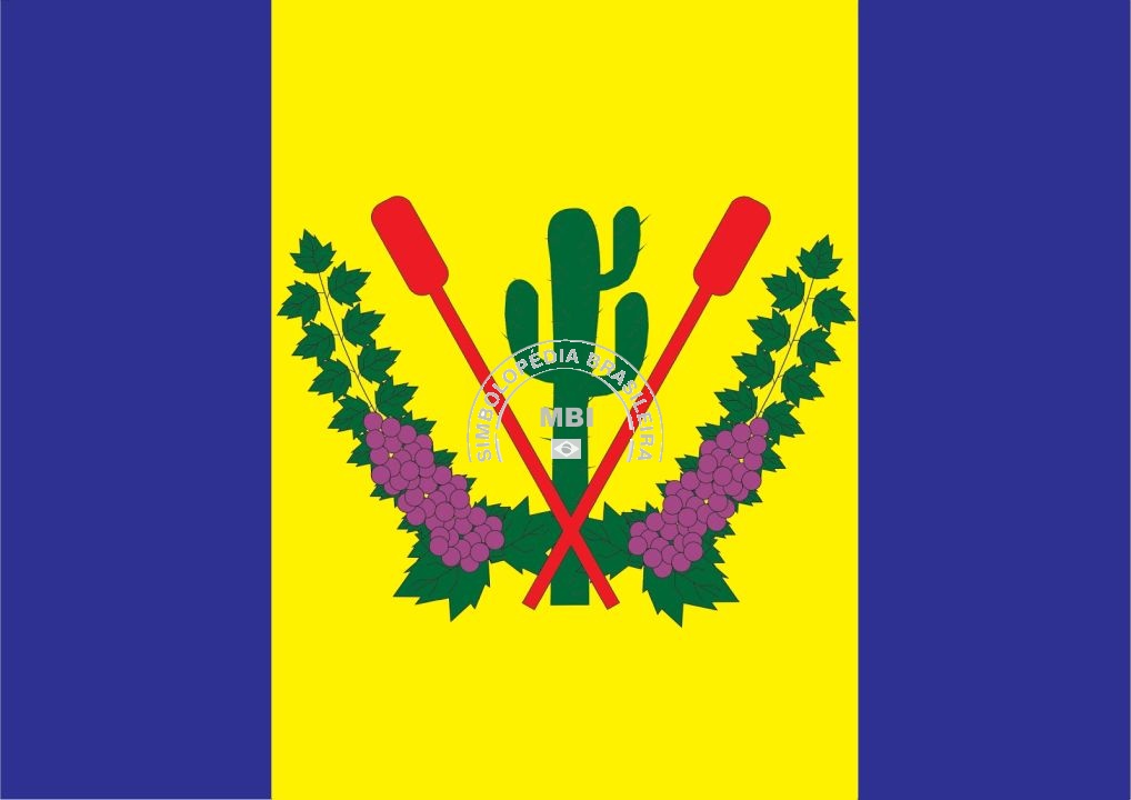 Bandeira da Cidade de Lagoa Grande