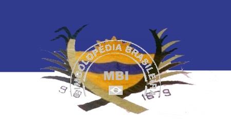 Brasão da Cidade Palmares