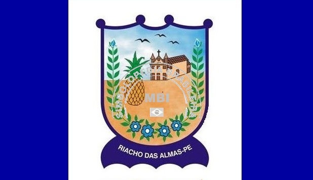 Bandeira de Riacho das Almas