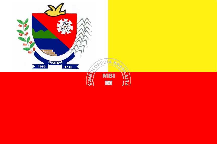 Brasão da Cidade Saloá