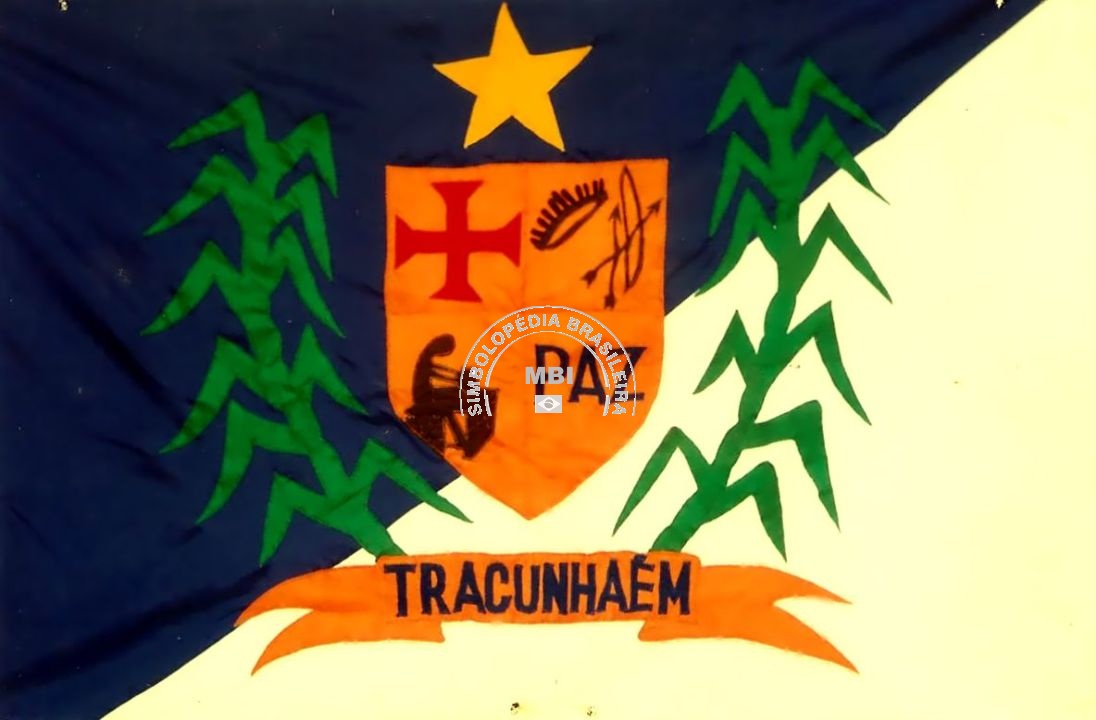 Bandeira da Cidade de Tracunhaem