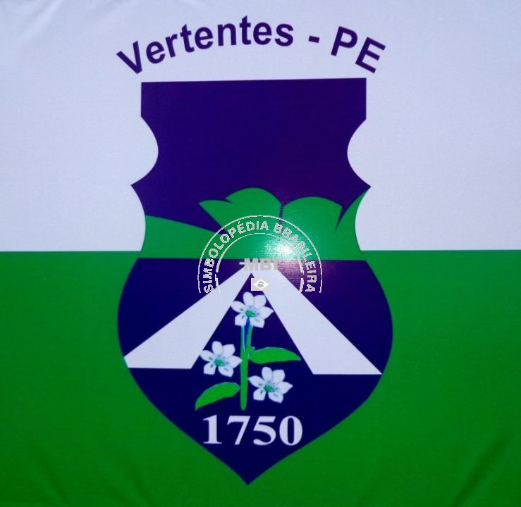 Bandeira da Cidade de vertentes