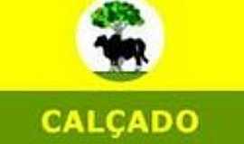 Bandeira da Cidade de Calçado