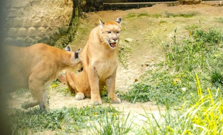 Parque Estadual de Dois Irmãos