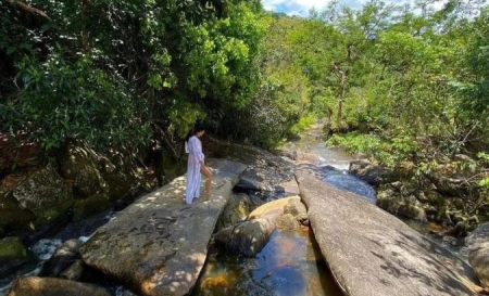 Rancho das Palmeiras