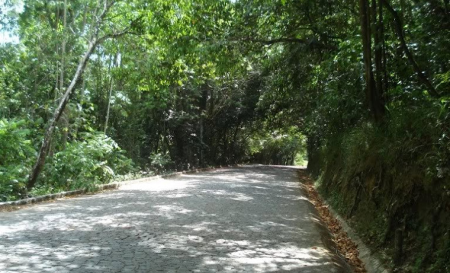 Reserva Biológica de Saltinho