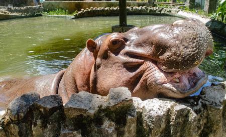 Parque Estadual de Dois Irmãos