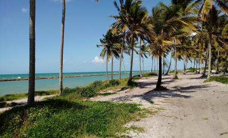 Praia de Muro Alto 2  Silvia Scheid Mallmann  2018