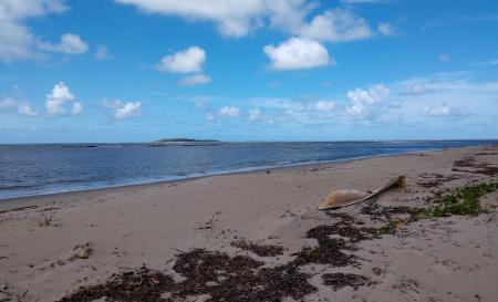 Praia de Toquinho 3 charlis pagani (ChaPa) 2018
