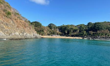 Praia do Cachorro 2 Christian Gärtner 2024Praia do Cachorro 3 Ramon Brancalhone 2020