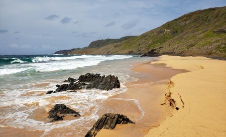 Praia do Leão 2 Matheus Tresso Custódio 2021