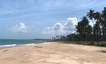 Raquel Palhares 2021