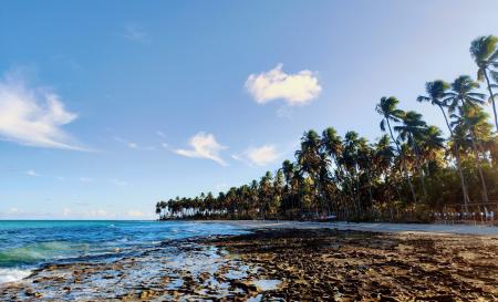 Elizardo Lisboa 2025