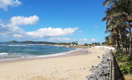 Praia Enseada dos Corais 2 Susi Saito 2019