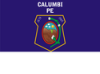 Bandeira da Cidade de Calumbi