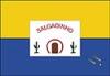 Bandeira de Salgadinho
