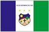 Bandeira de Santa cruz de Capibaribe