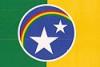 Bandeira de Terra Nova