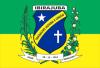 Bandeira da Cidade de Ibirajuba