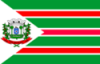 Bandeira da Cidade de Palmeirina